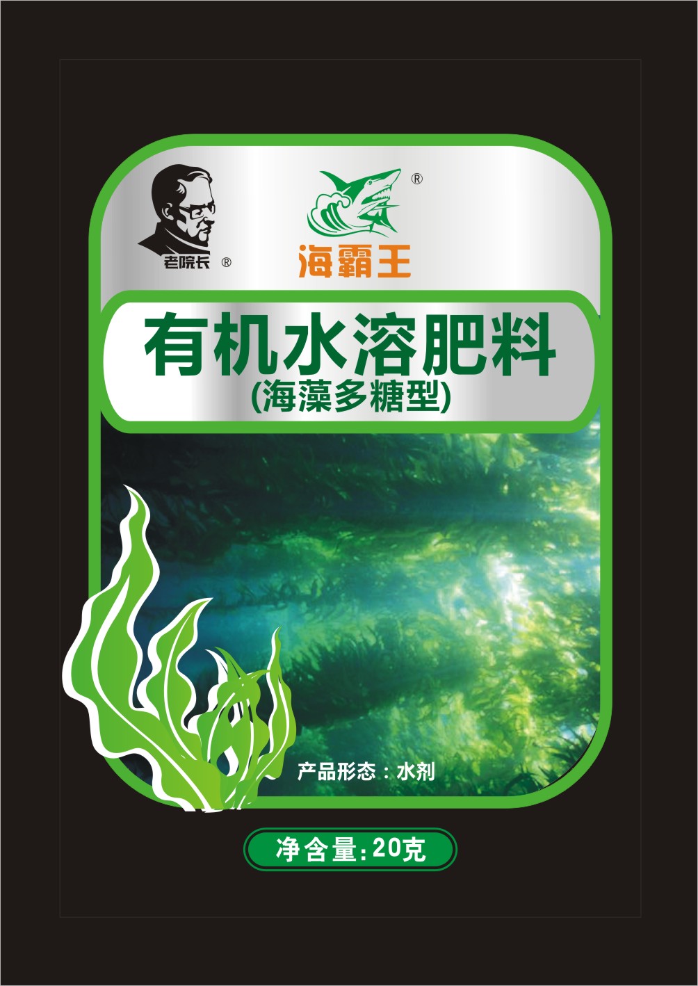 海白金